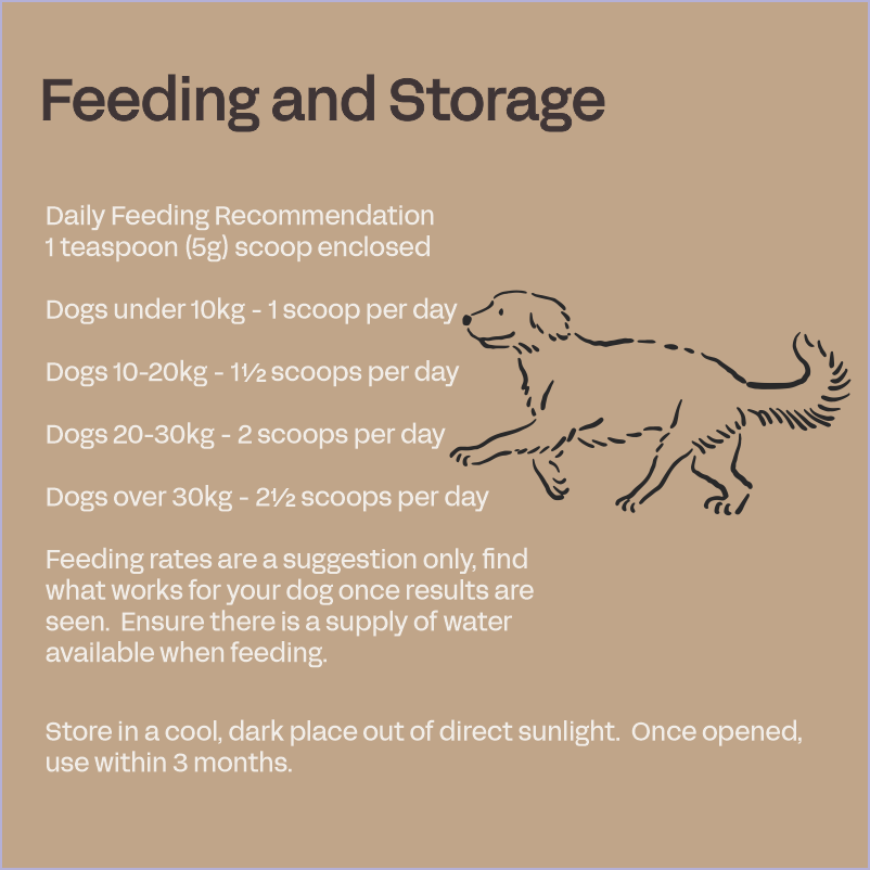 Canine Probiotics
