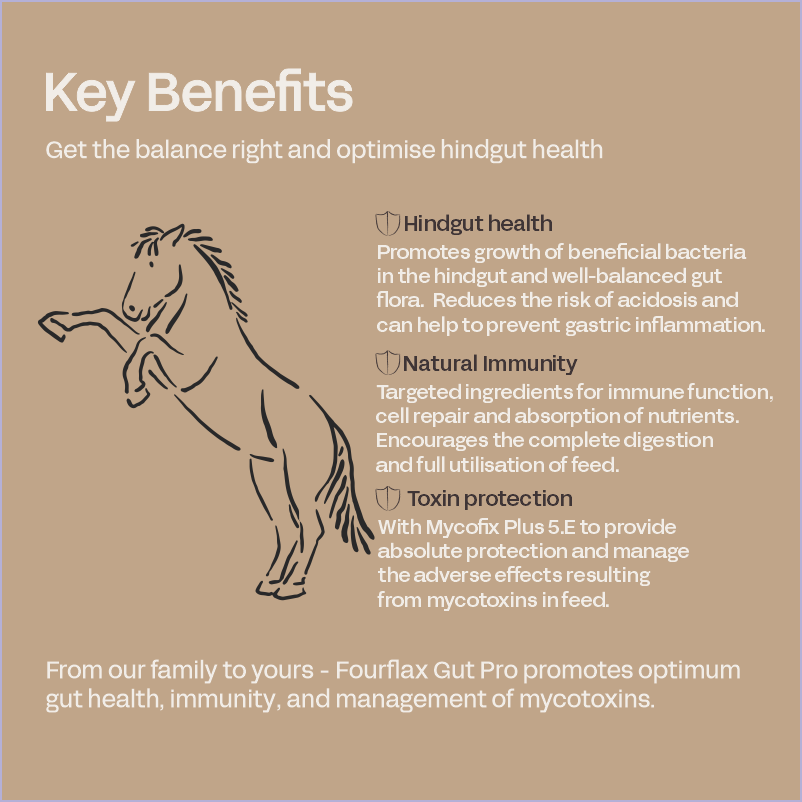 Equine Gut Pro - Toxin & Digestive Support for Horses