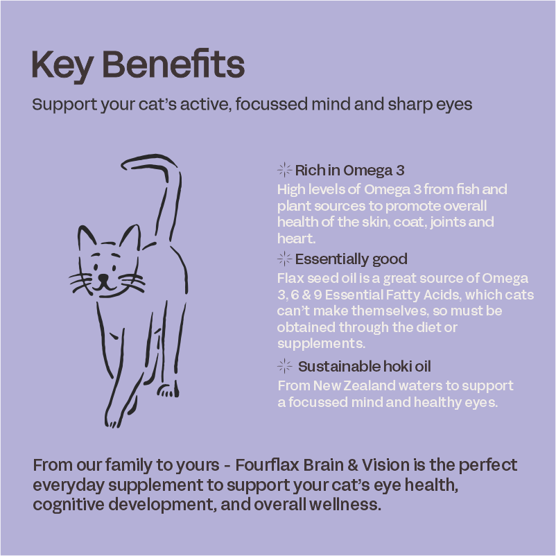 Feline Brain & Vision
