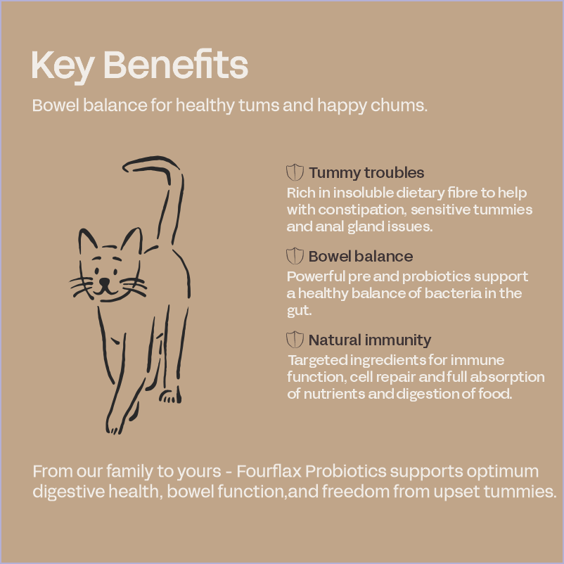 Feline Probiotics - Immunity & Digestive Probiotic Support for Cats
