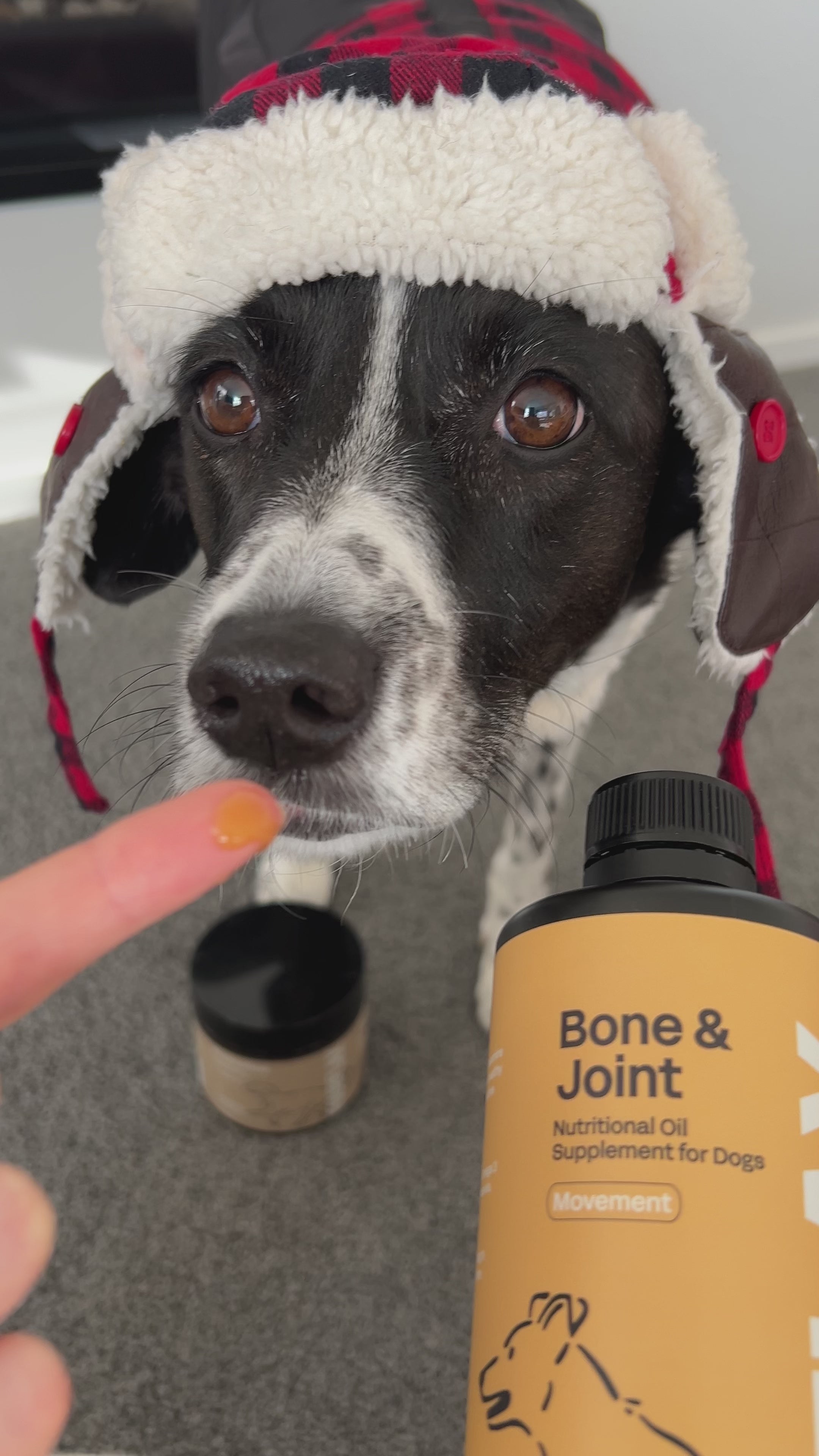Canine Bone & Joint - Dog Supplement for Joints & Mobility