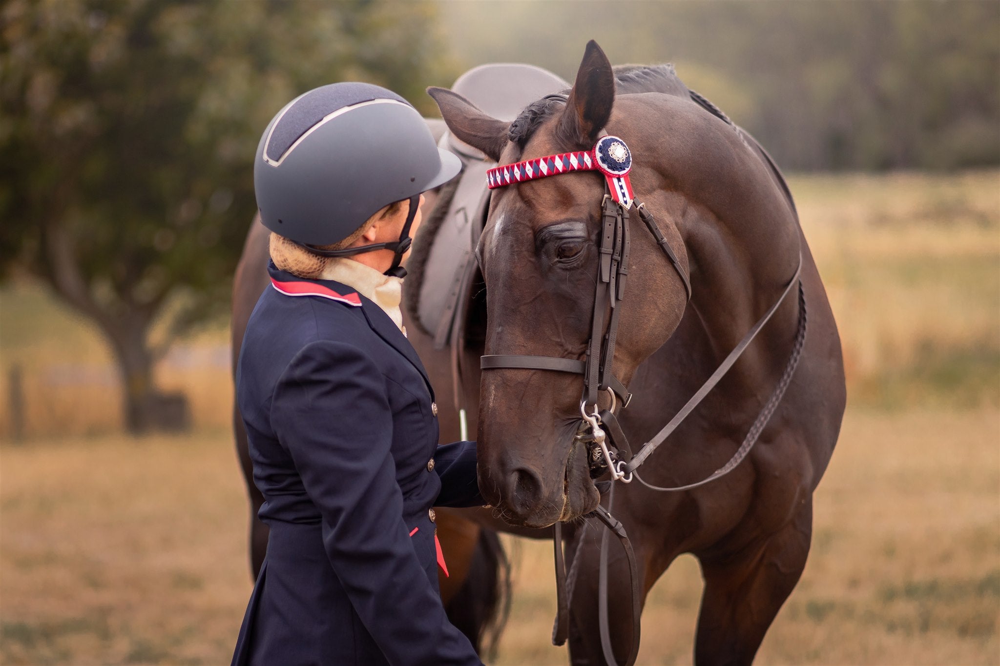 Nurturing Nobility: Flax Seed Oil, the Equine Elixir for Holistic Health