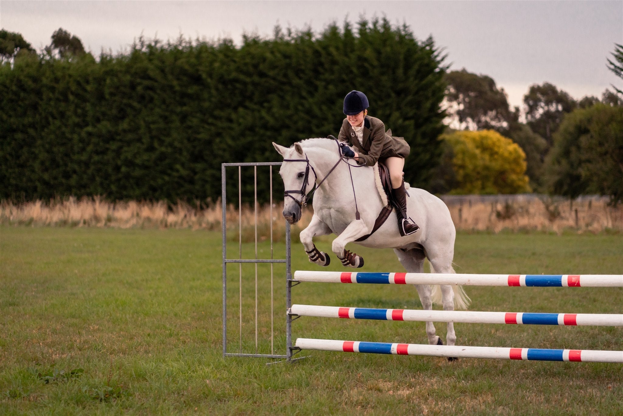Keep Your Horse Moving Smoothly This Winter ❄️🐴