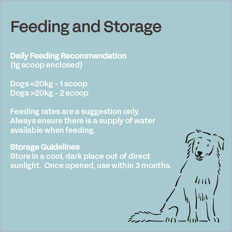 Canine Oral Guard - Oral Probiotic Supplement for Dogs