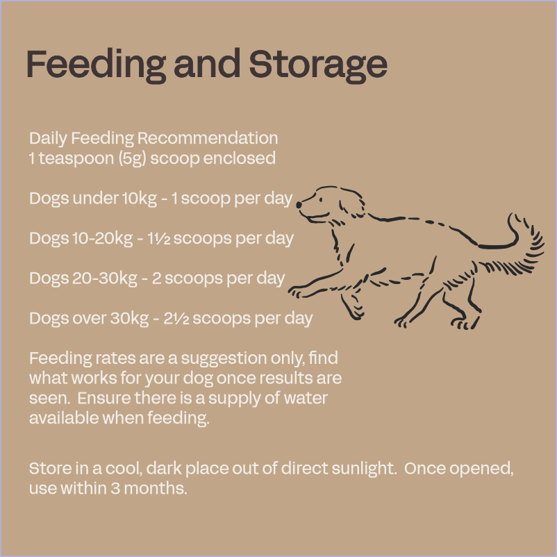 Canine Probiotics Immunity and Digestive Probiotic Support for Dogs