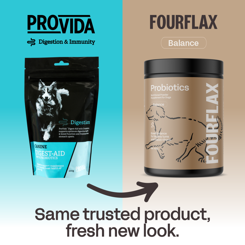 Canine Probiotics Photo Inspiration