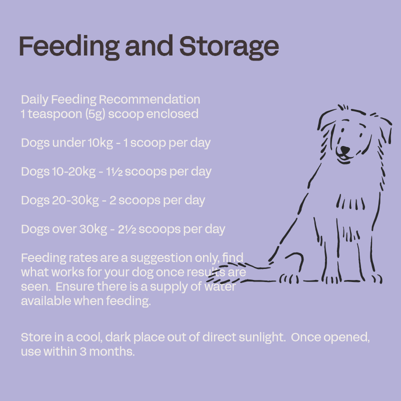 Canine Senior - Health Supplement for Older Dogs