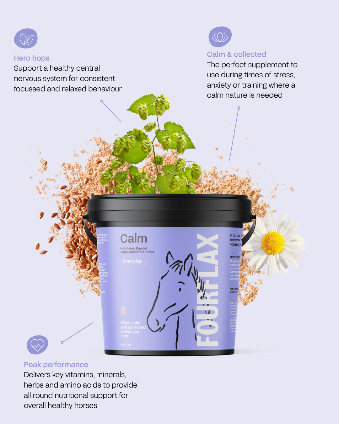 Equine Calm - Behaviour & Calming Support for Horses