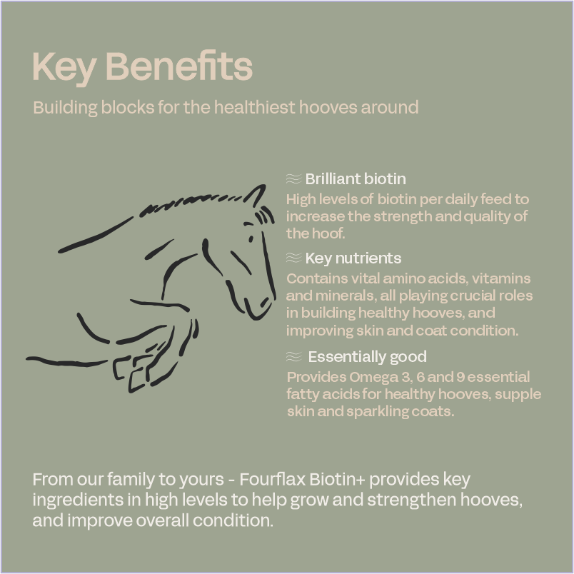 Equine Biotin+ - Hoof & Coat Supplement for Horses