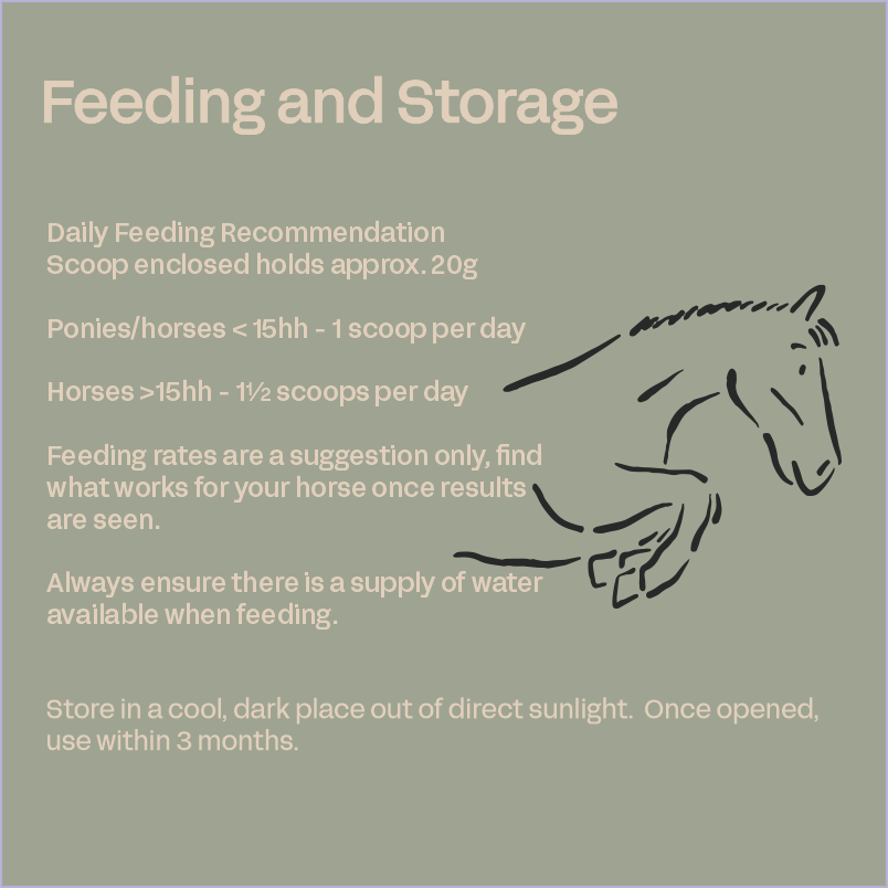 Equine Biotin+ - Hoof & Coat Supplement for Horses