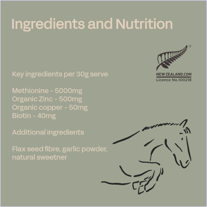 Equine Biotin+ - Hoof & Coat Supplement for Horses