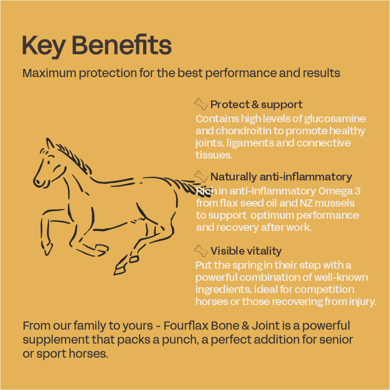 Equine Bone & Joint Oil - Horse Supplement for Joints