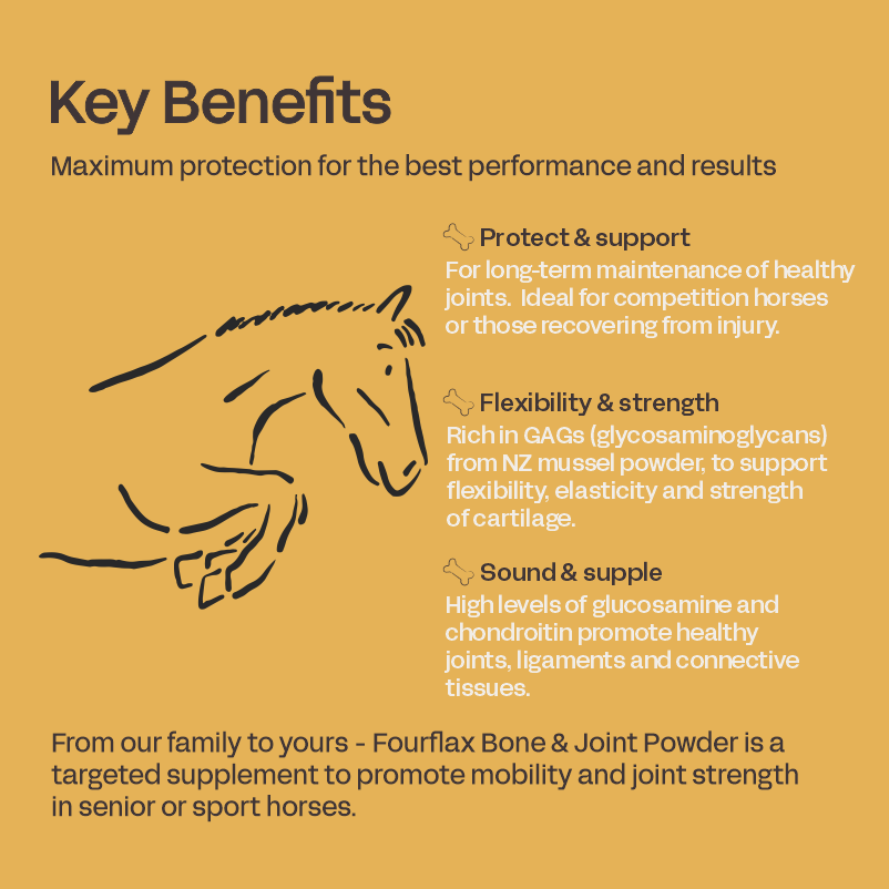 Equine Bone & Joint Powder - Horse Supplement for Bones & Joints