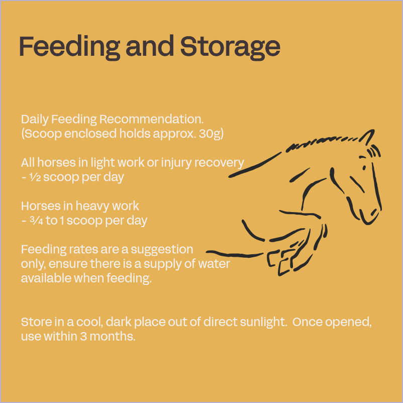 Equine Bone & Joint Powder - Horse Supplement for Bones & Joints