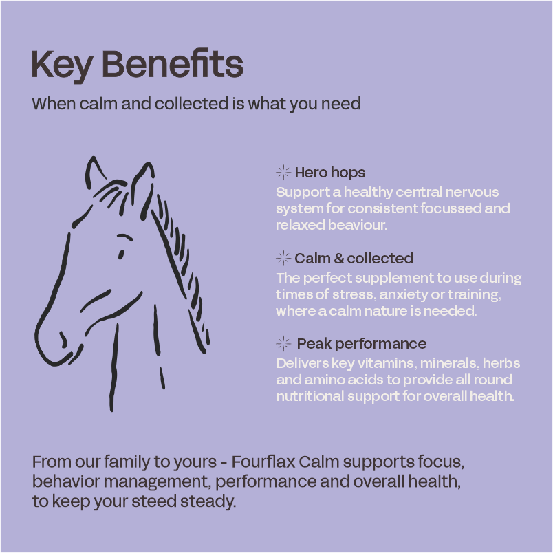 Equine Calm - Behaviour & Calming Support for Horses