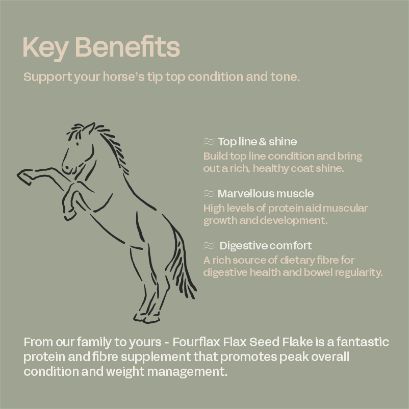 Equine Flax Seed Flake - Coat & Condition Supplement for Horses