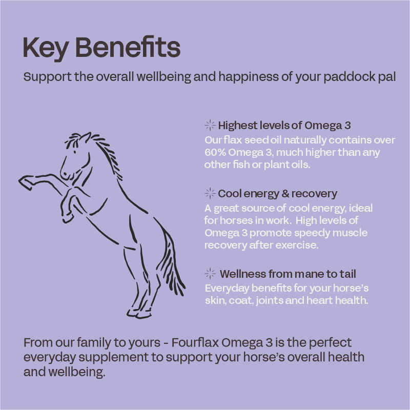 Equine Omega 3 - Flax Seed Oil for Horses