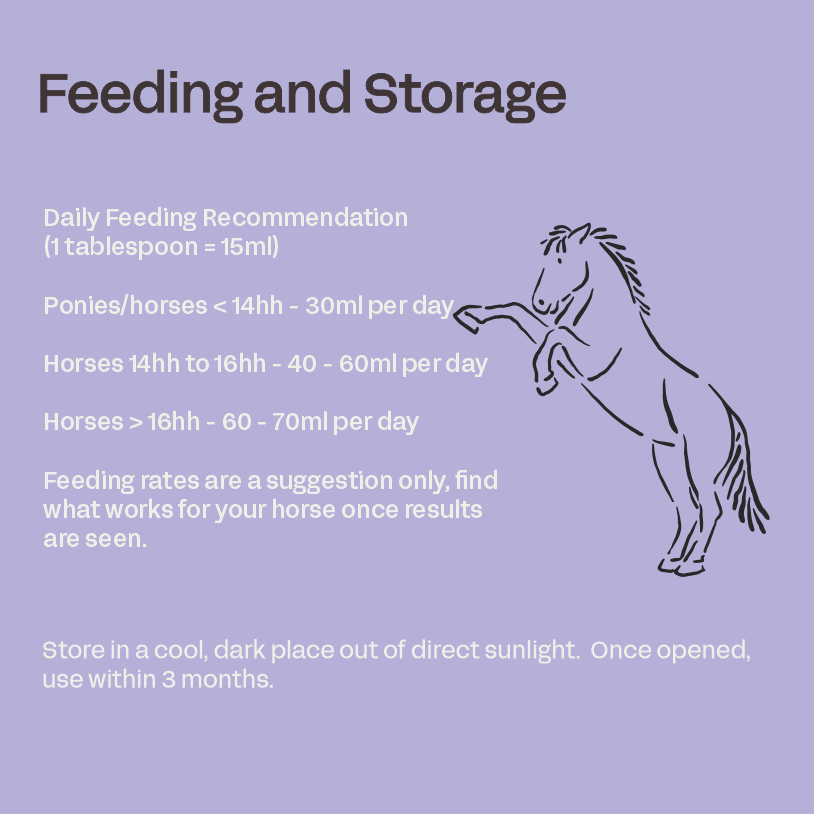 Equine Omega 3 - Flax Seed Oil for Horses