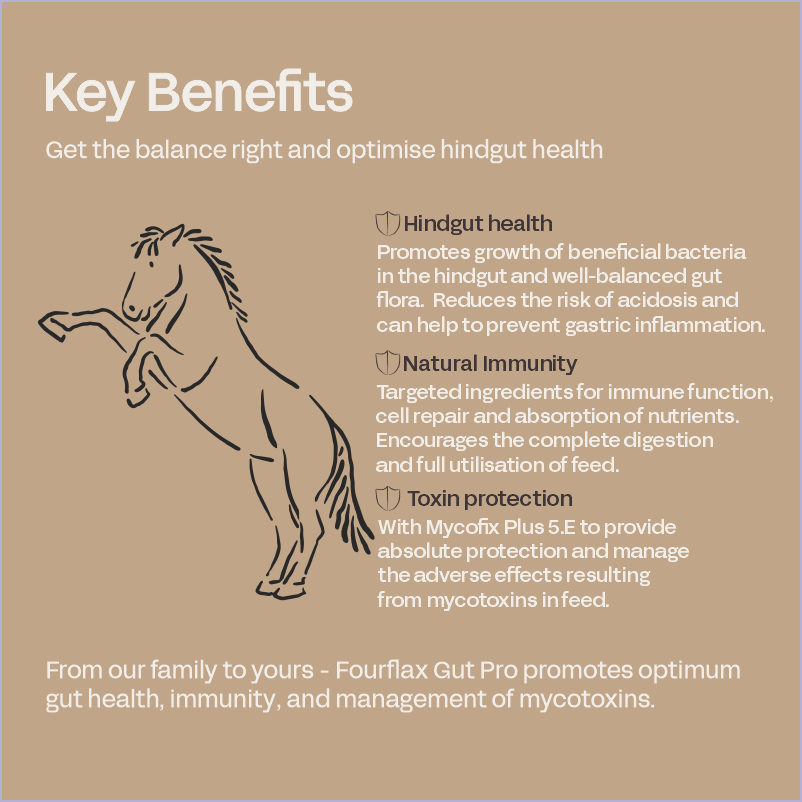 Equine Gut Pro