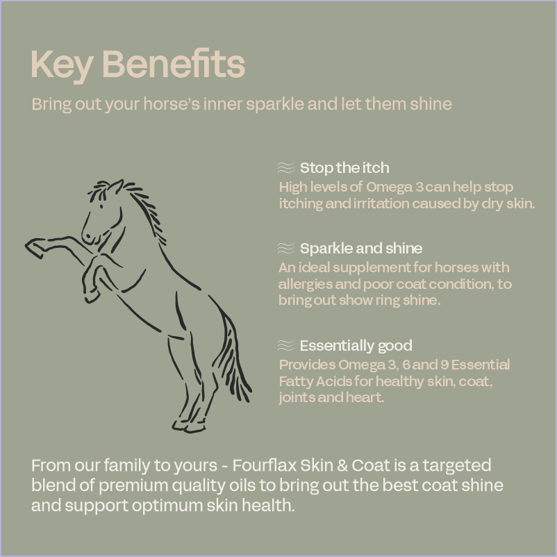 Equine Skin & Coat - Equine Supplement for Skin & Coat Health