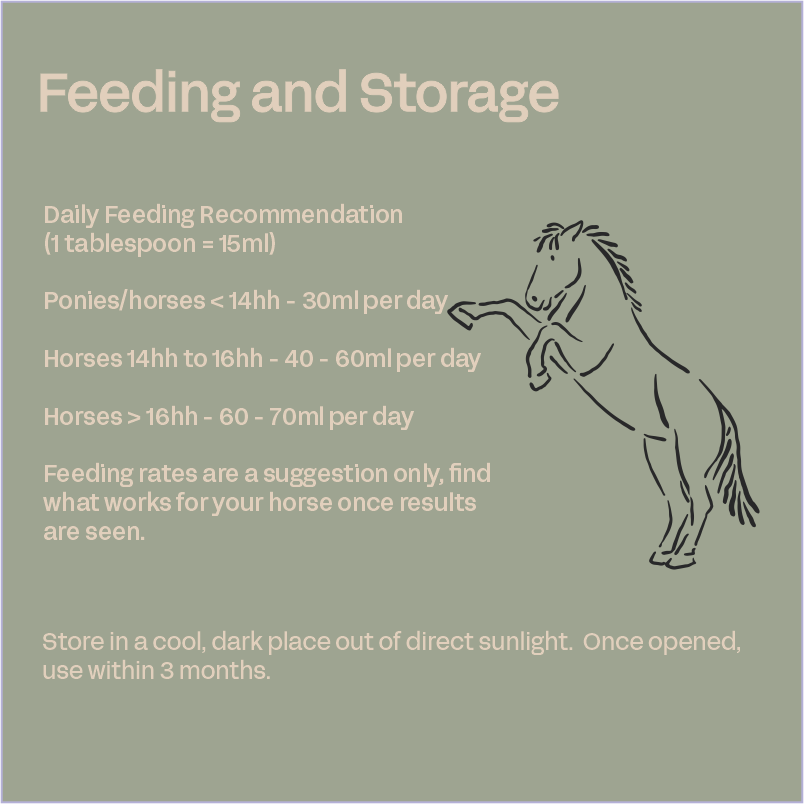 Equine Skin & Coat - Equine Supplement for Skin & Coat Health