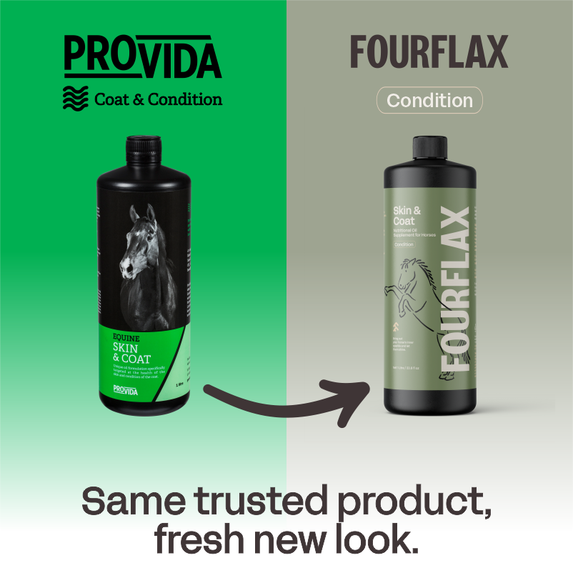 Equine Skin & Coat