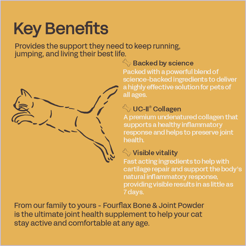 Feline Bone & Joint Powder - Cat Joint Supplement