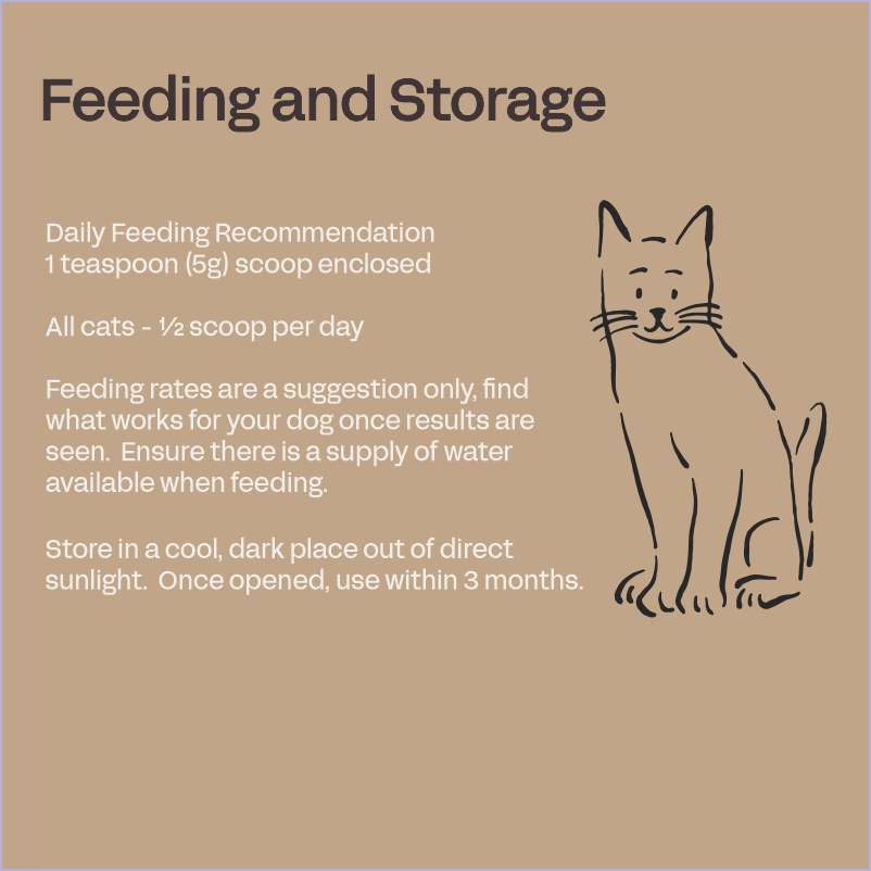 Feline Immunity - Cat Immune System Supplement