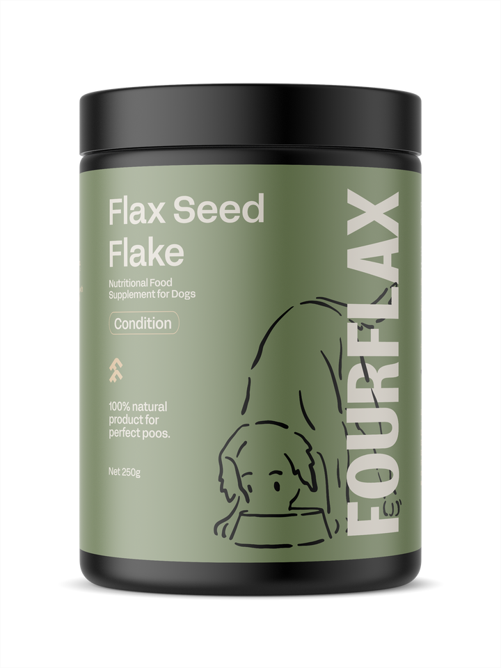 Canine Probiotics - Immunity & Digestive Probiotic Support for Dogs ...