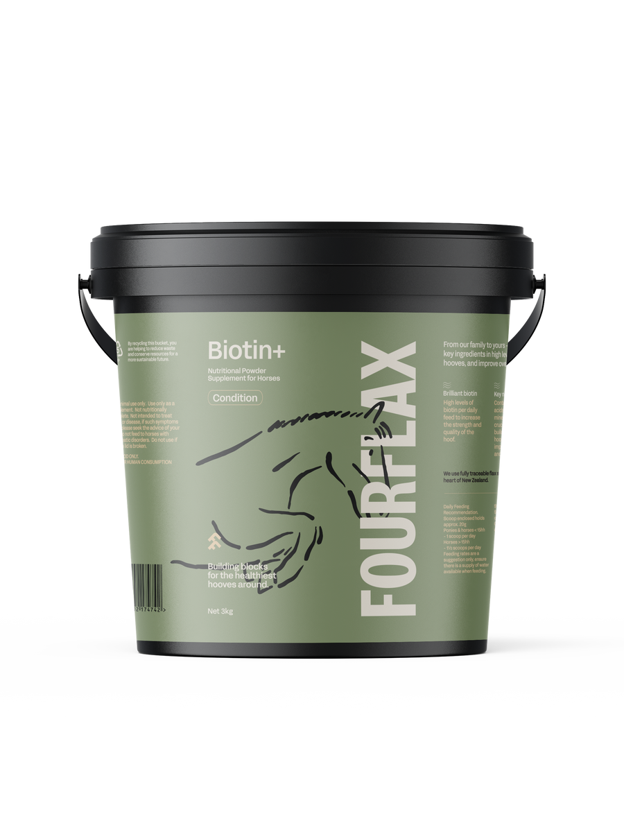 Equine Biotin+ - Hoof & Coat Supplement for Horses – Fourflax